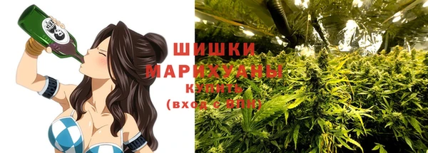 гашик Кинешма