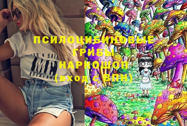 гашик Кинешма